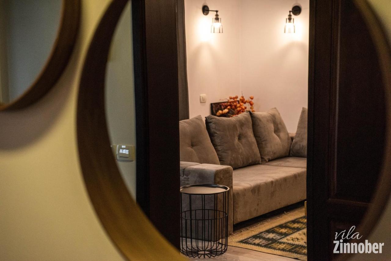 Vila Zinnober Braşov Dış mekan fotoğraf