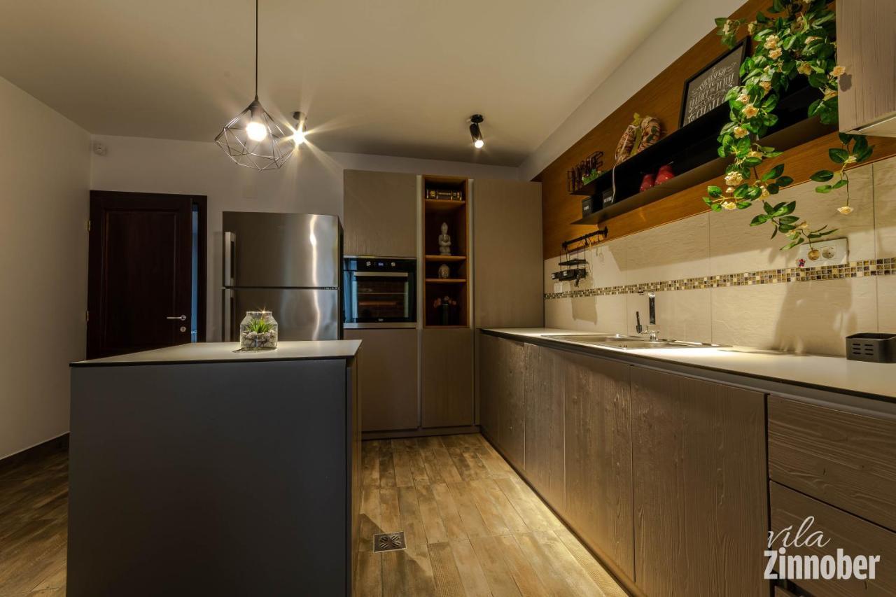 Vila Zinnober Braşov Dış mekan fotoğraf