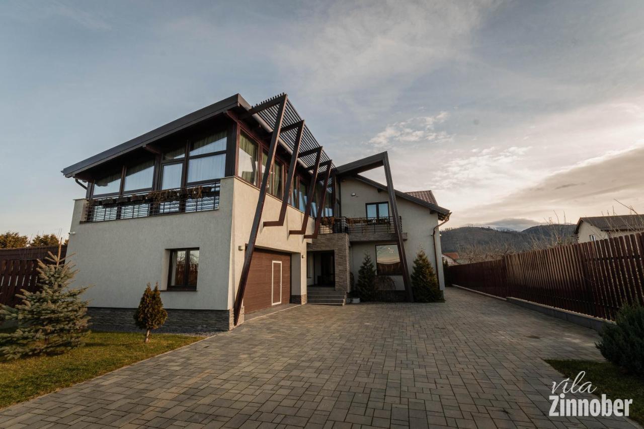 Vila Zinnober Braşov Dış mekan fotoğraf
