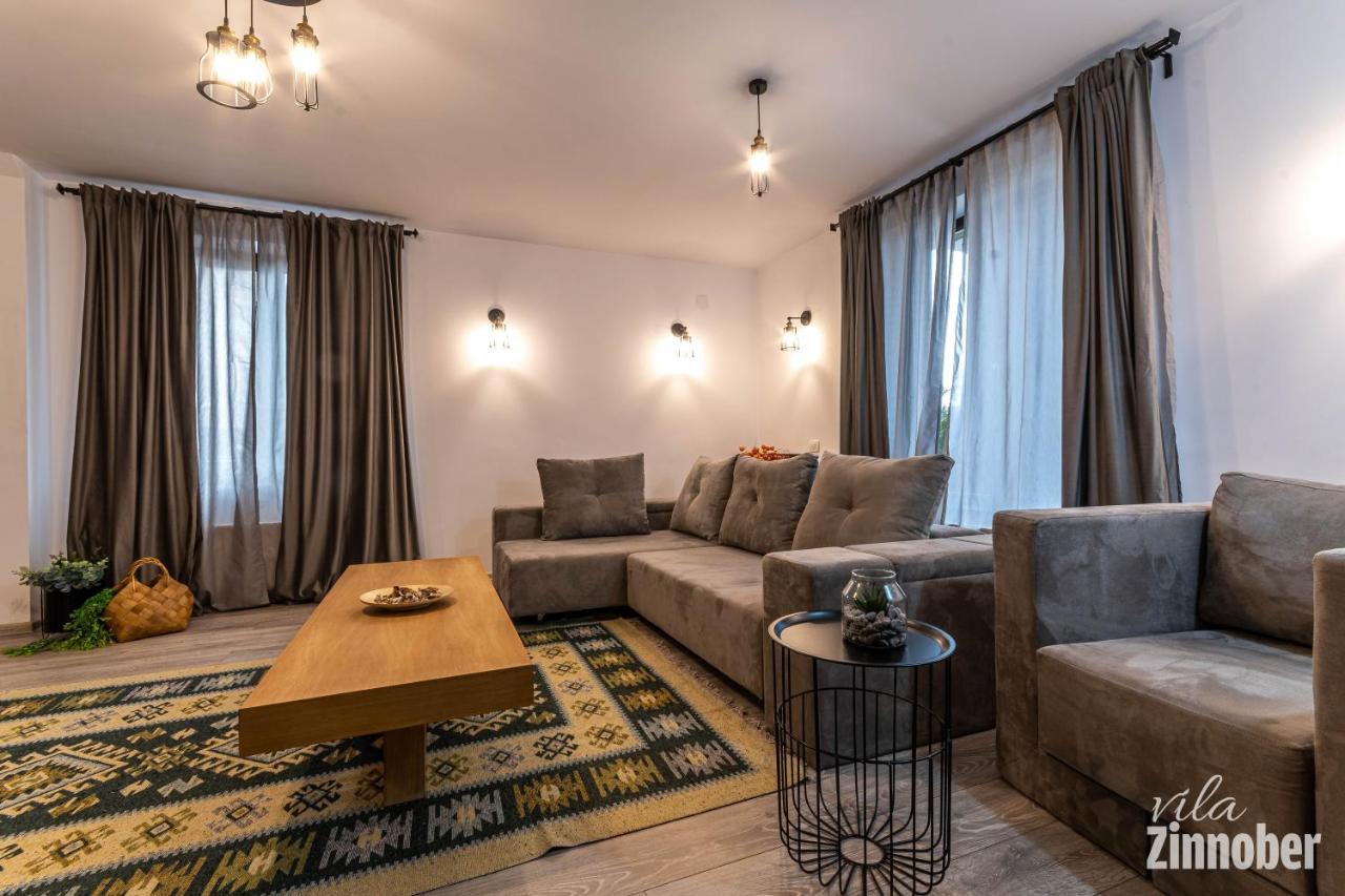 Vila Zinnober Braşov Dış mekan fotoğraf