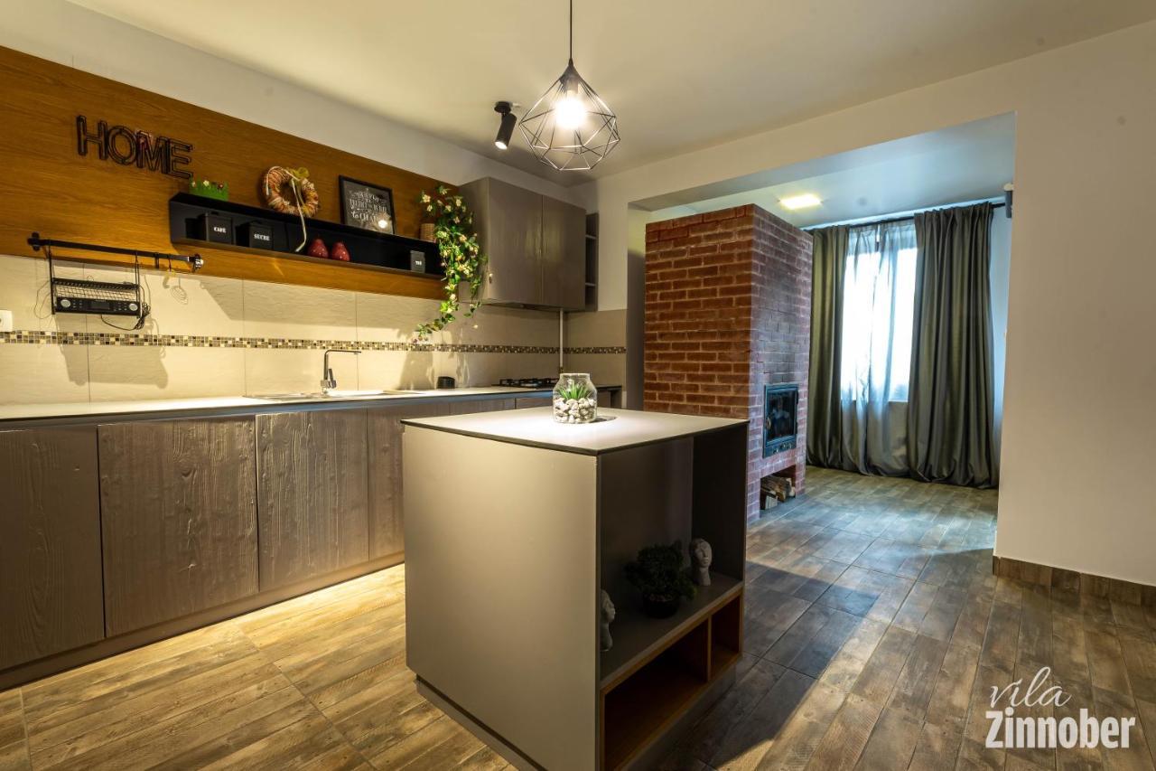 Vila Zinnober Braşov Dış mekan fotoğraf