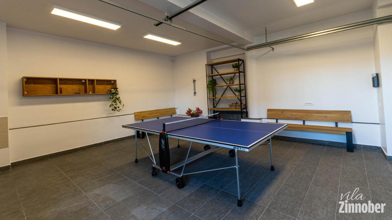 Vila Zinnober Braşov Dış mekan fotoğraf
