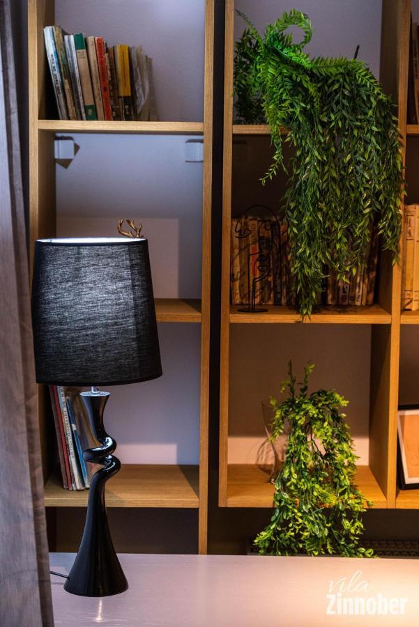 Vila Zinnober Braşov Dış mekan fotoğraf